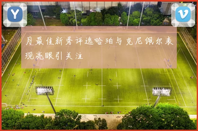月最佳新秀评选哈珀与克尼佩尔表现亮眼引关注